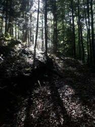 c91174c3-190d-45a8-9aa1-453ac7ac967e