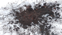 1b77d91c-536f-4b5e-a329-e554ff1b75c5