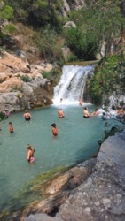 8ead00f3-1fde-4b43-9dce-f5a1b80fb7c6