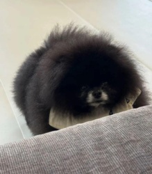 d5c36aa1-b2c9-46ba-8e78-c7d2820cbabc