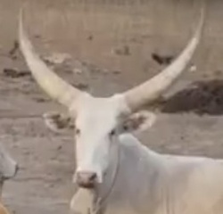 e3c33e02-ff20-4691-bdc0-4323aa88d0bd