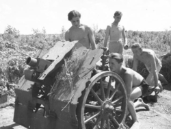 43d0629b-ed90-4057-a4df-90718c9de895