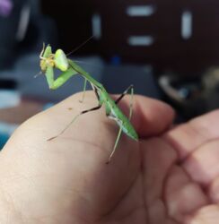 3ed6b4b7-306c-4c4b-92bf-2ec8098edd10