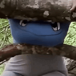 638d663c-e041-4e52-aa12-263a7554bcc6