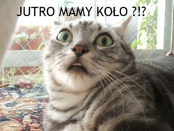 9ad2aa5e-faf9-4368-87e4-742ddd76f13b