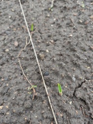 bddf1ce4-ee04-412f-b902-666f479d56a4