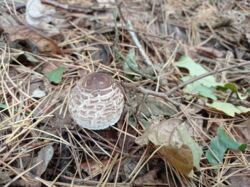 f15b3b69-f6c2-476f-a20f-351594595a4d