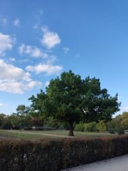 622535cd-6efb-4a6e-9f53-106d7d749c27