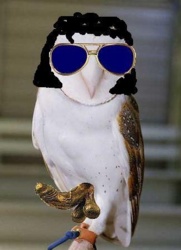 1d1cf1a5-6004-4c5e-8af1-f6cc75da298e