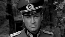 aeba3cf3-c2e8-428b-aa72-82ebb6d9d611