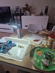 37c124a9-38ae-49f5-9776-b09acdaab781