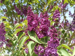 44e8363f-a5ee-460a-9515-ab920804a12f