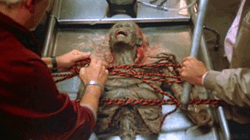 e9b9ac5f-594f-40df-9a11-cba983745a12