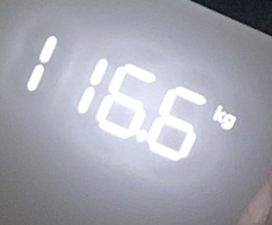 8f0020d0-d362-4761-9973-d2bb22e9c28a