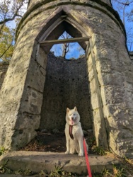 e7805c0e-3b64-4d52-a478-ff32f176fe94