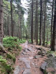 0b8ebd89-dae9-42d4-938d-e8abfdbb27e8