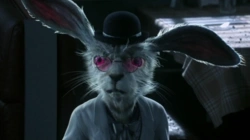 5f257623-f678-4032-8d61-894e2b8732ec