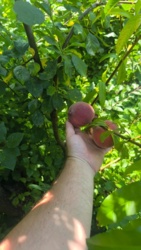 9a66fa47-6c83-450b-82b3-415e78a59572