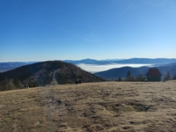 74f31ac8-25bb-4e0e-813c-1084f9a43ba2