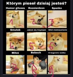 11694363-f6a7-4dc0-b831-c657975829a0