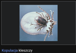 9a3b5326-879e-438e-b6cb-a69cee686859