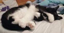 475498c9-4891-40fd-bfd0-76110784321d