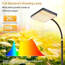 946a4537-baa5-4589-ba0d-48423a69c328