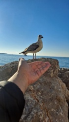 51d6d921-7411-4758-a726-fc311ff6d995