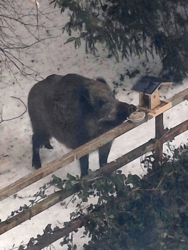 a5042509-cc7d-4833-a25e-1651dc954a86