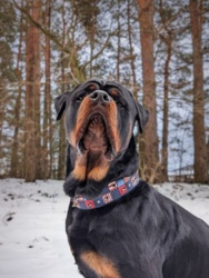 44bd86a1-c479-40ca-8a12-76321ab36132