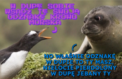 ba514218-25ad-494a-b69a-a04ecde89727