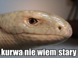 56a21c0c-2aee-4f83-8c99-e79e4cdf970d