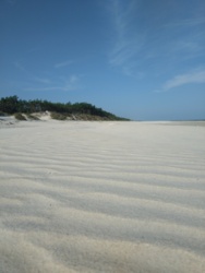 2b300043-e328-4baf-bf50-2db0a2bbe5ea