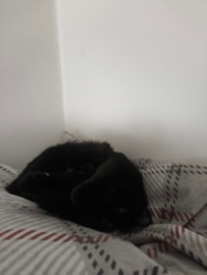 6200ca73-f37d-4cf9-8021-581fc483ae5f