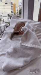 975b3a5b-95ef-427e-8ffb-d7110da3371a