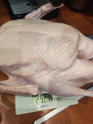 24f840e3-ddfa-4d72-ac5f-8877f19058bc