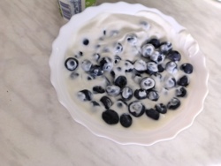 04d07efd-c927-4cb1-9e46-a64dd5e598e7