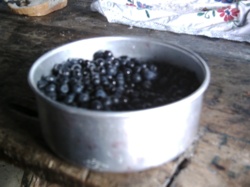 d6099004-a9a0-4986-84af-1bf02e5b614d