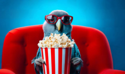 39e55aa8-e744-41e7-b48f-08a61c20c733