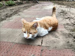 2b97a8ac-01bd-4e0e-aa1c-cafb8fc87635