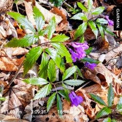 4305ae54-b0bb-4d5b-8633-0b420d710f0c