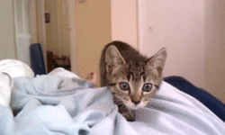 b0231483-3e05-4e8a-8445-ee9304a6512b