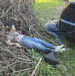 cd3fad55-7535-4a44-8865-2c8ff98f5ef7