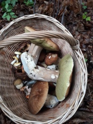 50b458af-6c28-40a6-b0d4-be5fa23d3bcc