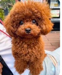 1fcf2abe-ec5b-4ed8-9eb3-7d49d2d6871e