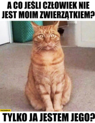 e0f92b3b-0bab-4100-a7f5-5305a303f069