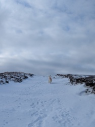 9e75b088-ca05-4973-a2b0-bce735a3f862