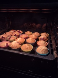 86363ddf-4928-4b9d-98ae-bfc9bdaccbe1