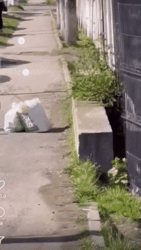 7ee139ef-f5cf-4854-87c0-ba0658242c5e