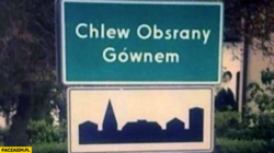 f11d5f97-29ae-450e-a866-7a09605cd3a6